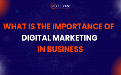 What is the Importance of Digital Marketing in Businesses?